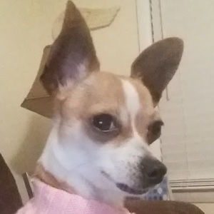 Meet your Posher, April